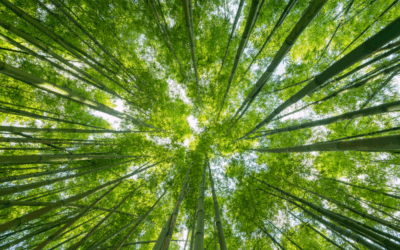 Innovative Solution Helps Corporations Achieve CSR / ESG Goals and Solve Excess Inventory Problems