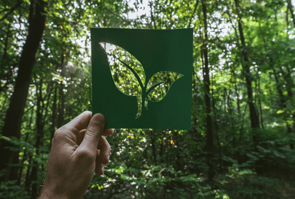 Three Sustainable Companies Doing Good with Excess Inventory
