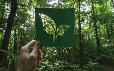 Three Sustainable Companies Doing Good with Excess Inventory