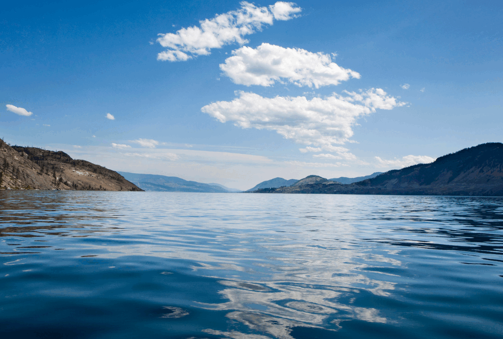 Now Liquidating Excess Inventory CAN Contribute to a Sustainable Circular Economy