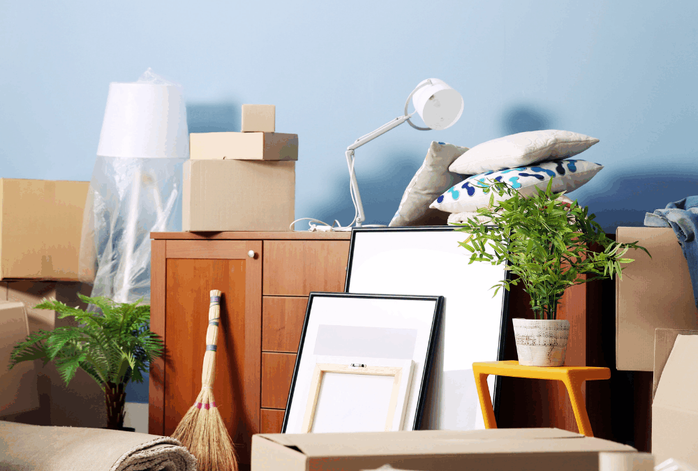 5 Types of Dead Stock Wanted by Direct Liquidation Stores and Brokers