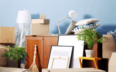 5 Types of Dead Stock Wanted by Direct Liquidation Stores and Brokers