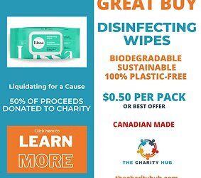 Great Buy: Biodegradable Lissa Clean Disinfecting Wipes – 100% Plastic-Free