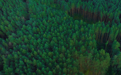 From Salvage to Sustainability: The Charity Hub and EcoClaim Team Up