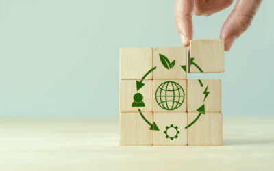 What Goes Around, Comes Around: How the Circular Economy Is Changing Everything